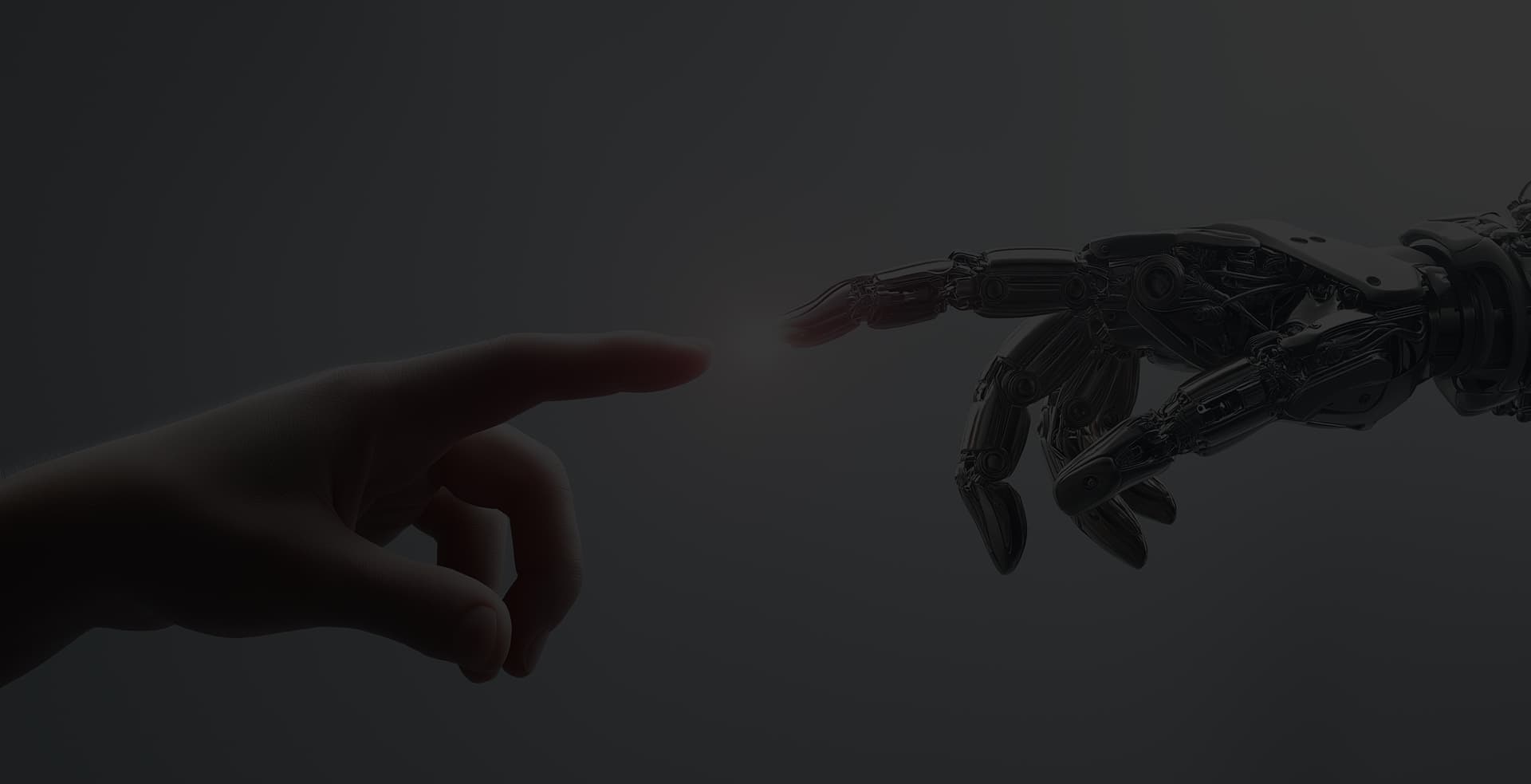 bg-003
