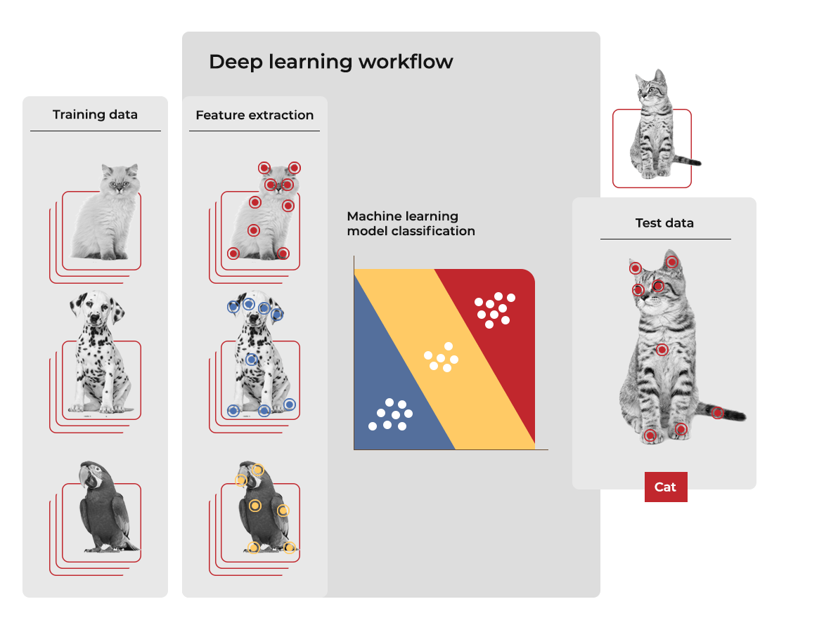 Deep learning workflow for image recognition