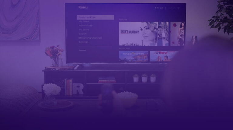 echelon roku app