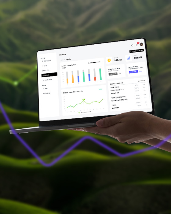 accounting software development