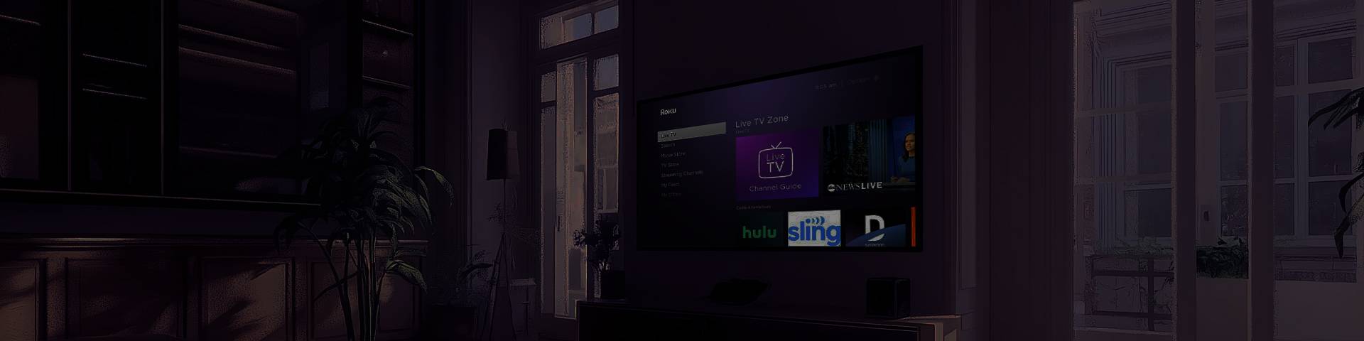 Roku features
