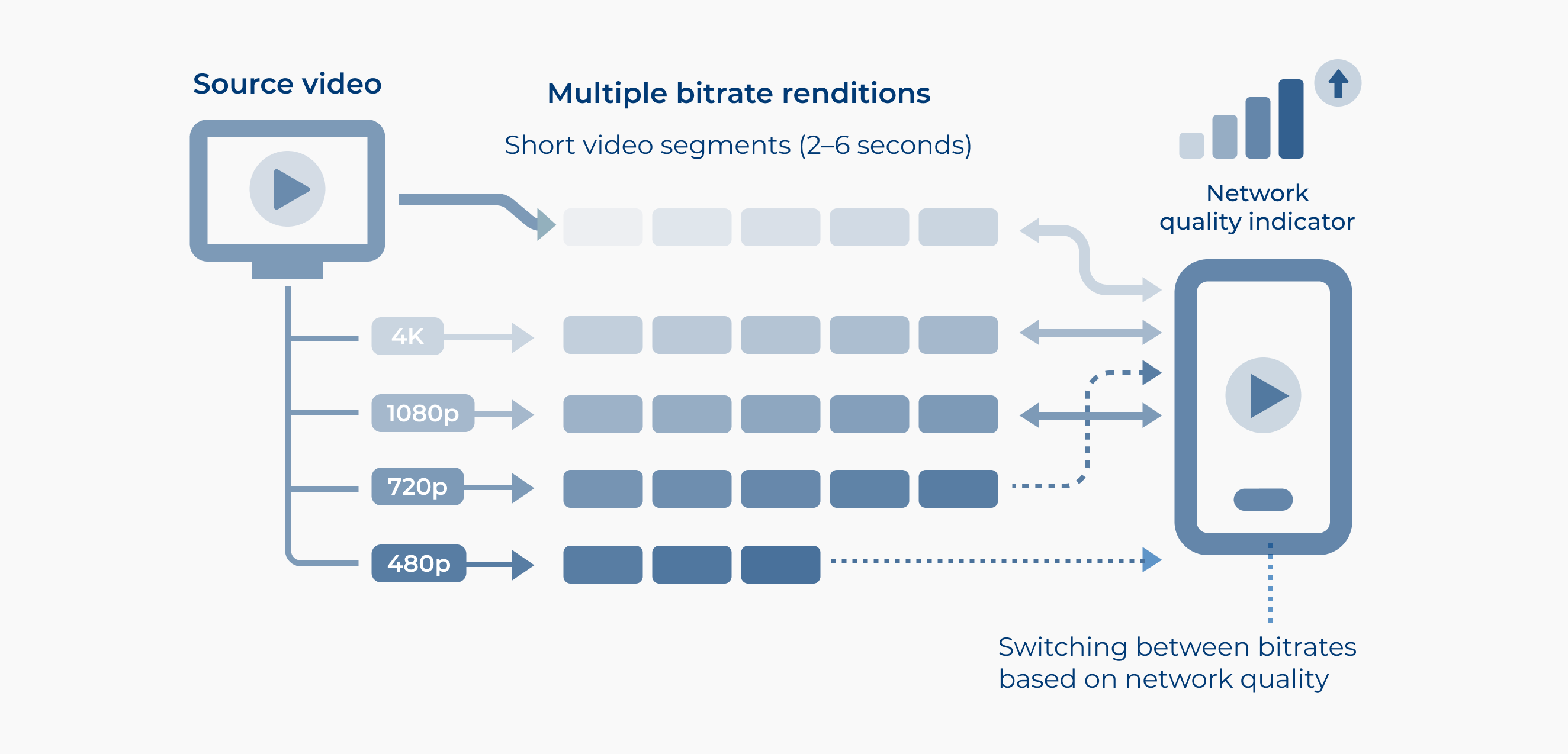 Multiple bitrate renditions