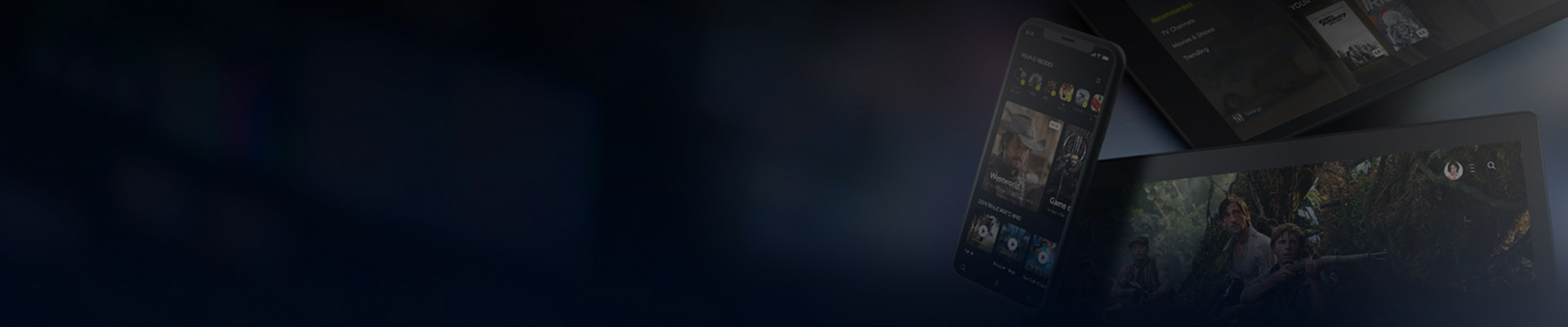 Custom Video Distribution Solutions